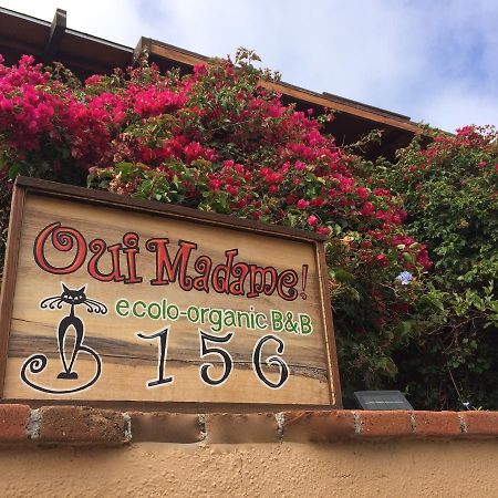 B&B Oui Madame Tijuana Luaran gambar