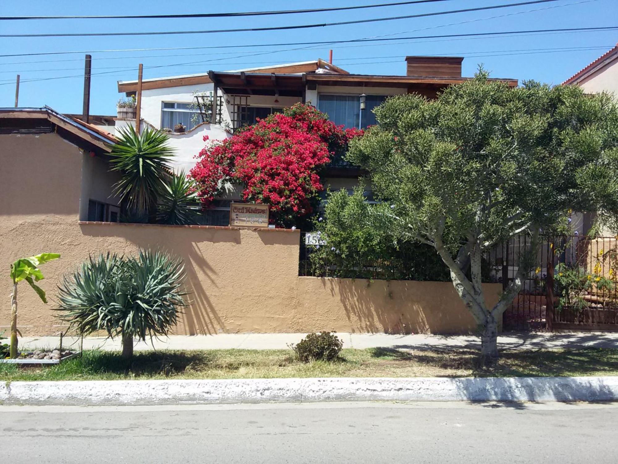 B&B Oui Madame Tijuana Luaran gambar
