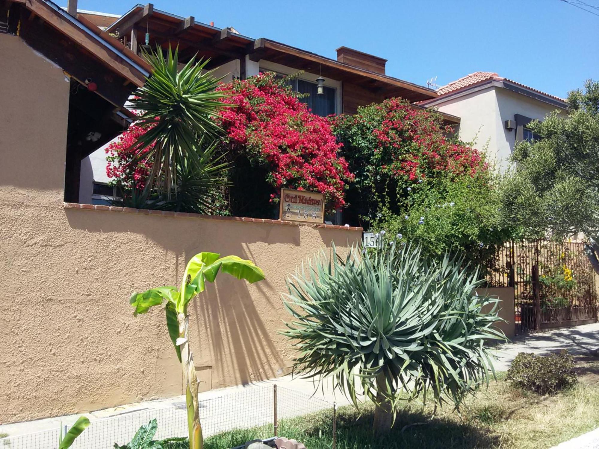 B&B Oui Madame Tijuana Luaran gambar
