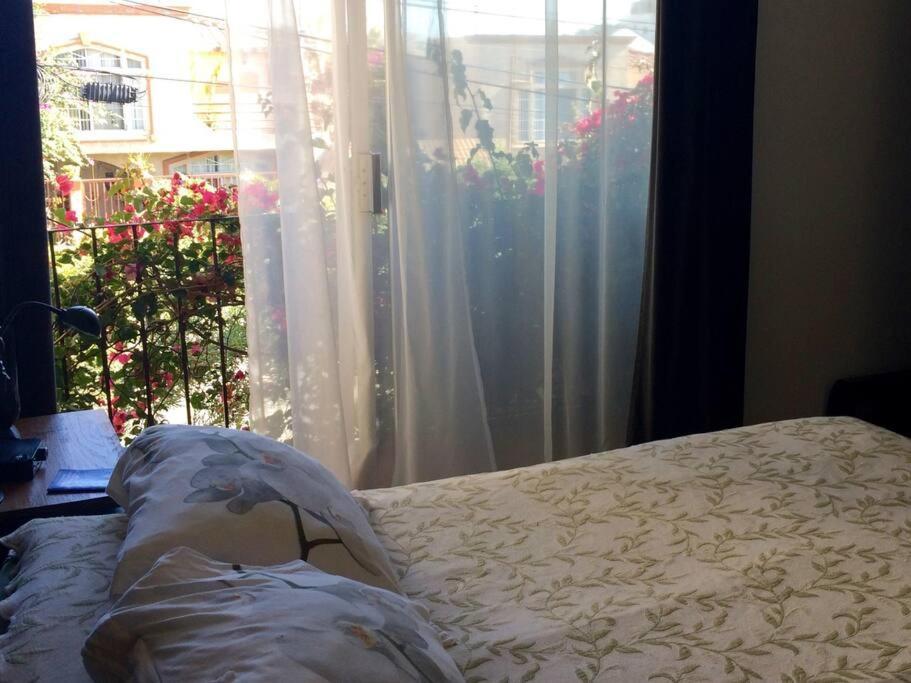 B&B Oui Madame Tijuana Bilik gambar