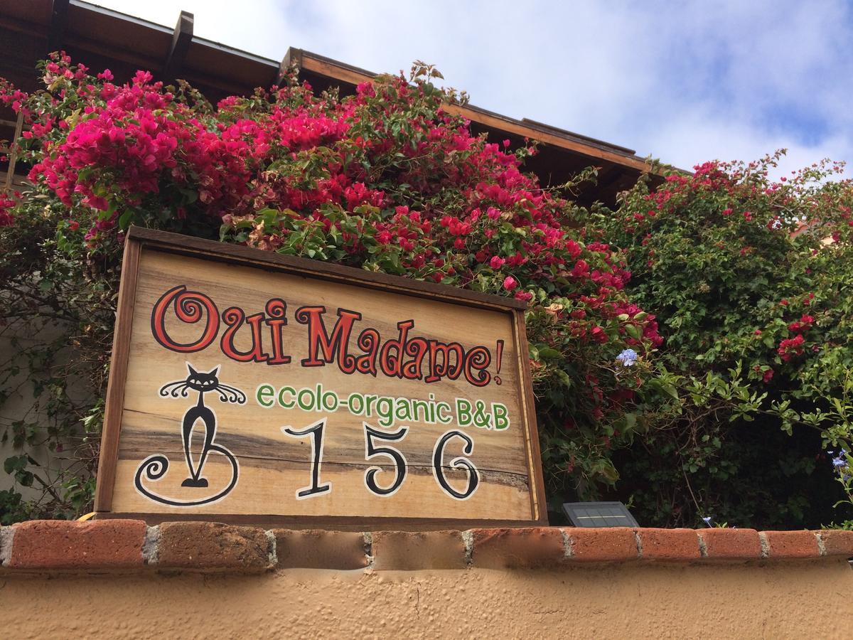 B&B Oui Madame Tijuana Luaran gambar